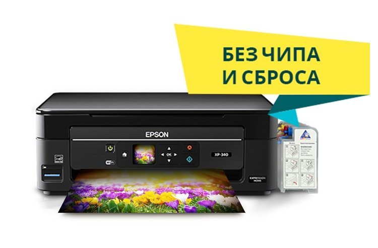 Купить Головку На Принтер Epson Xp 342